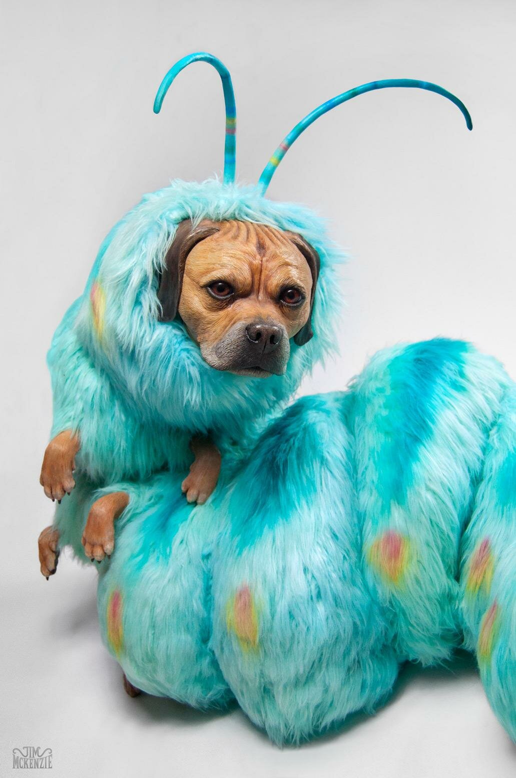 Lost Magic, Jim McKenzie, Jim McKenzie Art, Jim McKenie Artist, Copro Gallery, Puggle art, Pugglepillar, Raccoonicorn, Tim Burton, Whimsical, Alice through the looking glass, Alice in wonderland, Caterpillar, Aardman Nathan Love, Hi-fructose, King Gordo