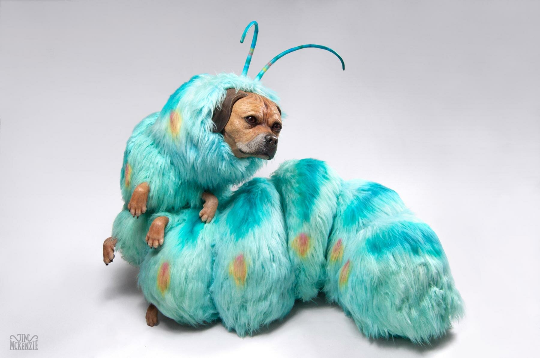 Lost Magic, Jim McKenzie, Jim McKenzie Art, Jim McKenie Artist, Copro Gallery, Puggle art, Pugglepillar, Raccoonicorn, Tim Burton, Whimsical, Alice through the looking glass, Alice in wonderland, Caterpillar, Aardman Nathan Love, Hi-fructose, Surrealism, 