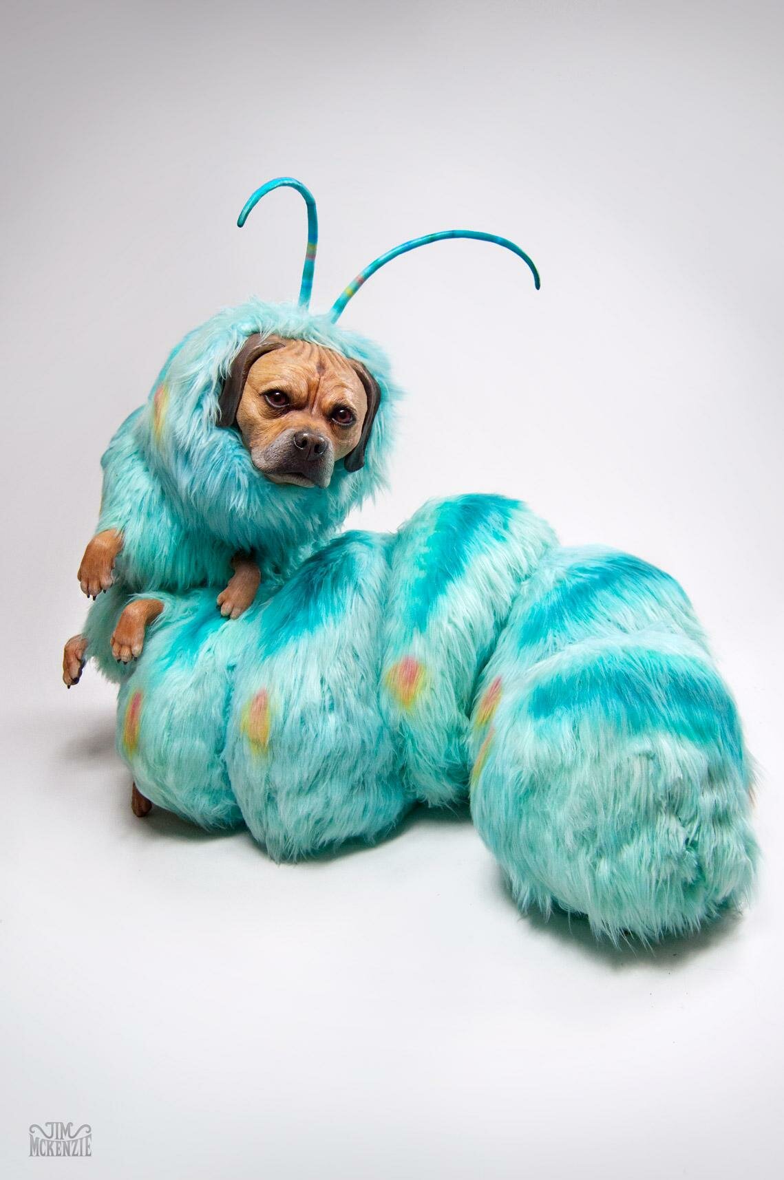 Pugglepillar, Puggle, Jim McKenzie, Jim McKenzie Art, Jim McKenzie Artist, Sculpture, Surrealism, Lowbrow, Lowbrow Art, Pop Surrealism, Tim Burton, Alice in Wonderland, Macabre, Hifructose, Juxtapoz, Artist, Puggle Art, King Gordo, Puggle Sculpture,